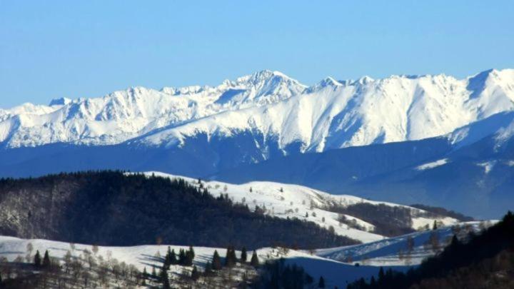 Pensiunea Osencuta Tălmaciu Exterior foto